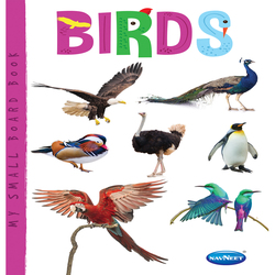 My Small Board Book Birds F0264 